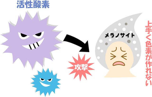 活性酸素とメラノサイト