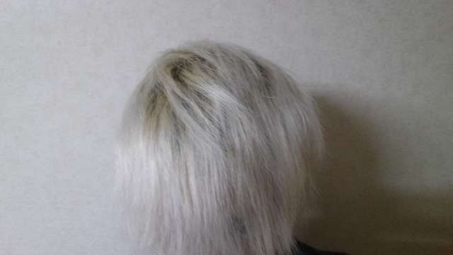 ホワイトブリーチして5日目の色落ちの写真