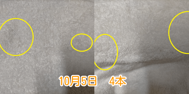 10月5日抜け毛本数