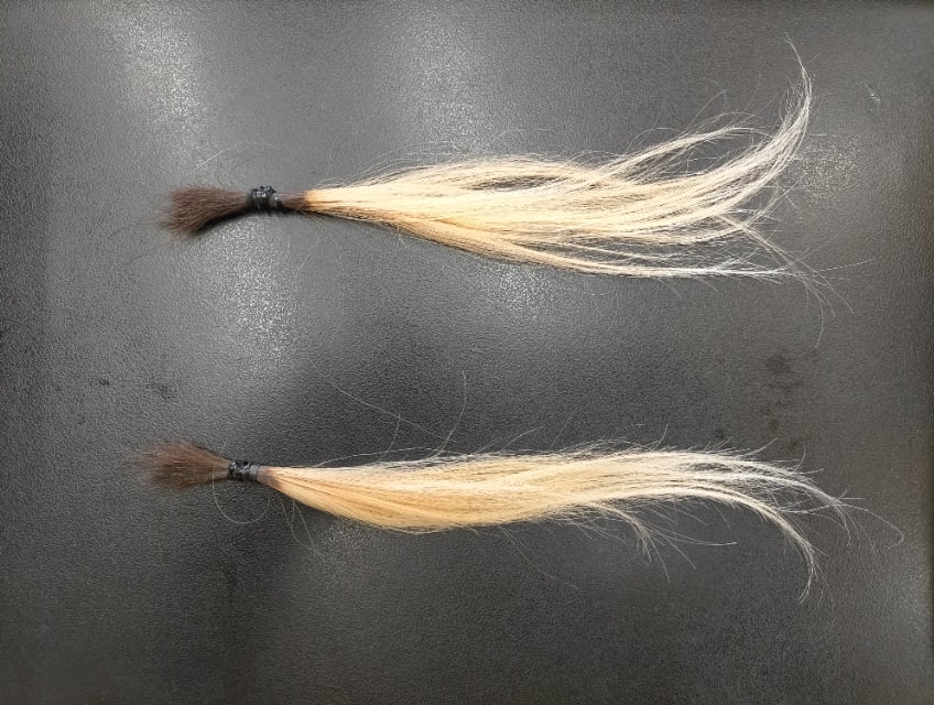 ブリーチした2本の毛束2