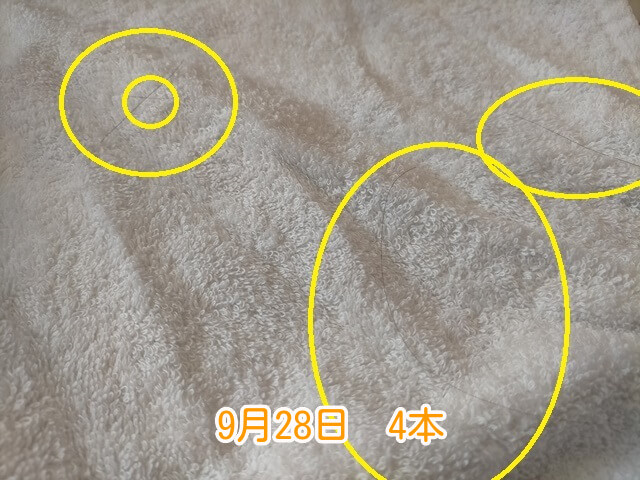 9月28日抜け毛本数