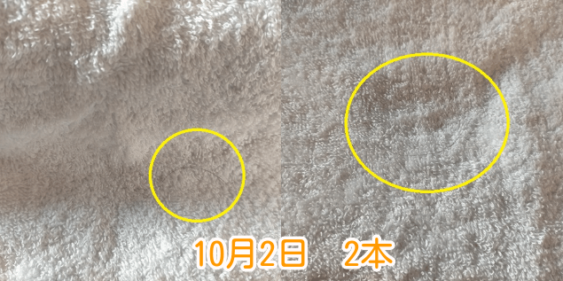 10月2日抜け毛本数