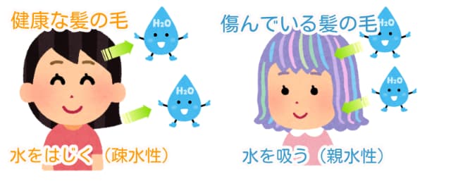 健康な髪の毛と傷んでいる髪の毛の水の吸い方
