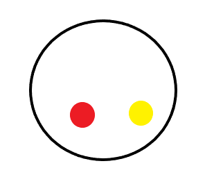 赤と黄色が残った髪の毛