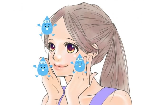 肌に自由水があるイラスト