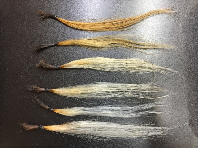 シルバーグレーカラーで染めた6本の毛束の写真