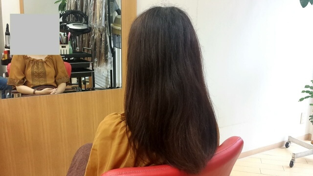 アプリエカラーで染める前の写真