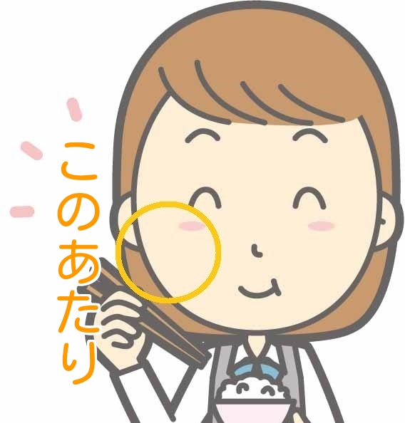 食べ物をよく噛んでいる女性