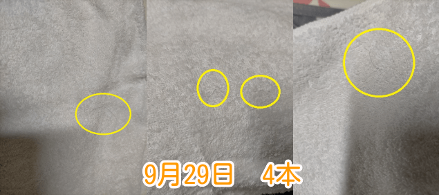 9月29日抜け毛本数