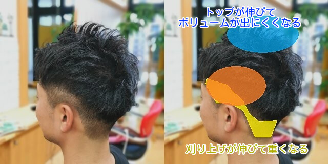 メンズカットと伸び具合の説明