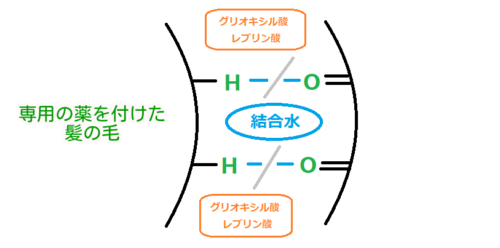 髪質改善説明