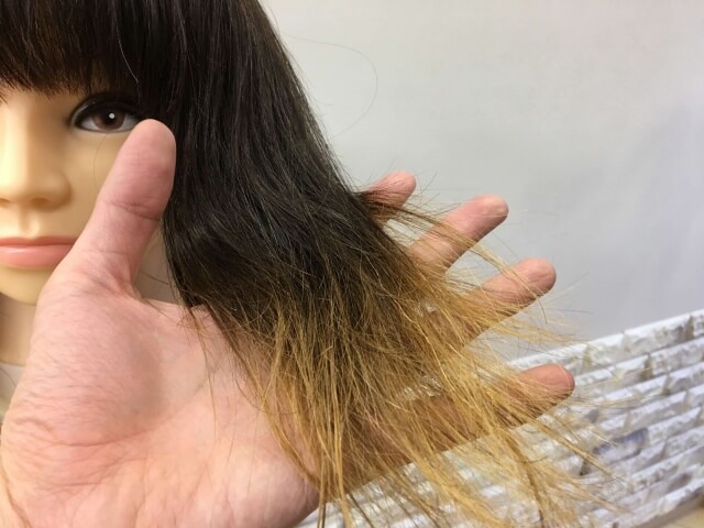 何も付けていない髪の毛の毛先の写真