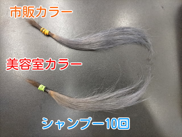 市販カラーと美容室カラーシャンプー10回