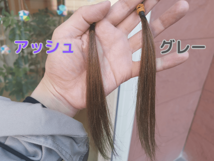 グレーとアッシュシャンプー1回屋外