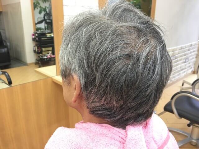 カラートリートメントを使う前の白髪の写真