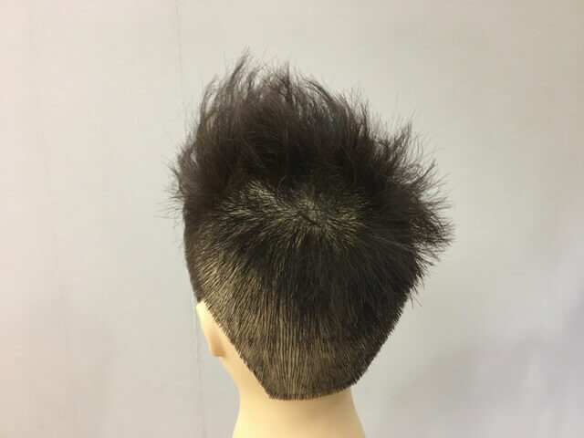 ライトナー前メンズ後ろ写真