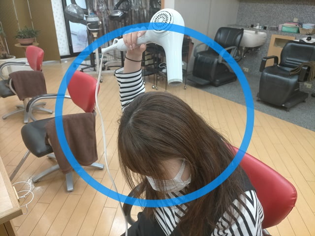 ドライヤーを上から当てている