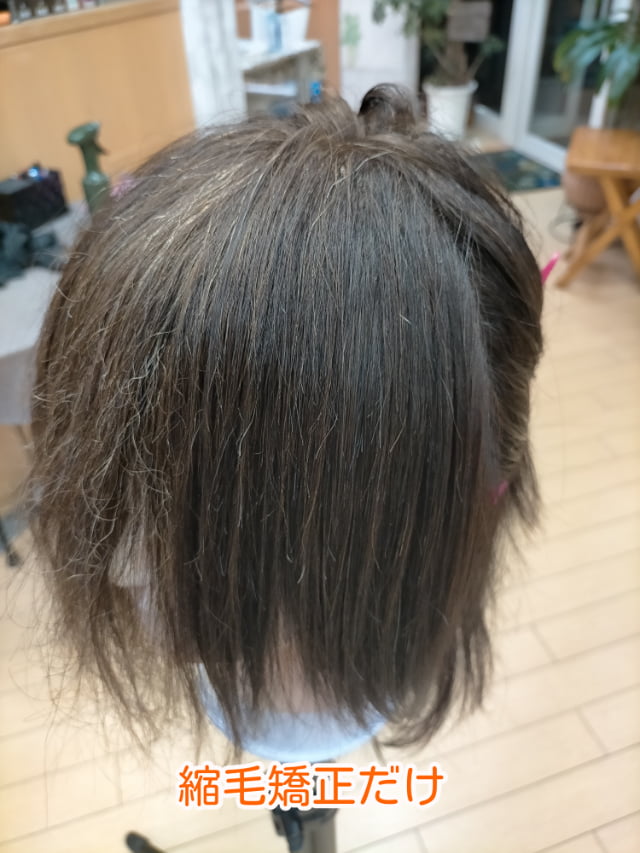 縮毛矯正だけした髪の毛