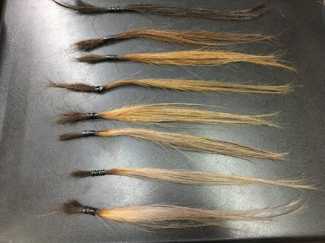 グレーアッシュシャンプー6回目の写真