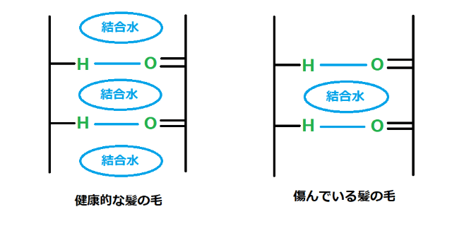 髪の毛の結合水