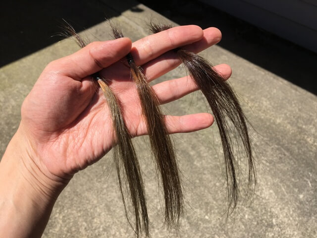 日光の下のマットアッシュの髪の毛ブリーチ1~2回とブリーチなしの写真