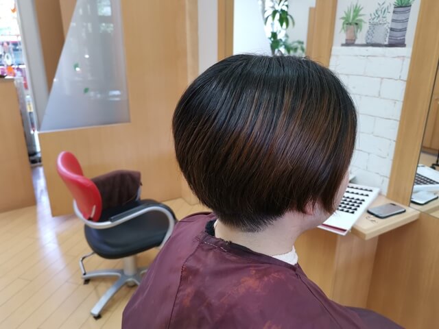 青系カラー前右