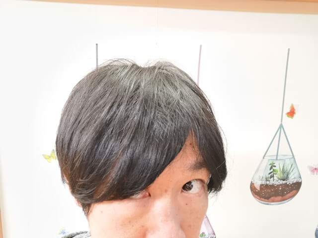 1日目水を使わないシャンプー使う前
