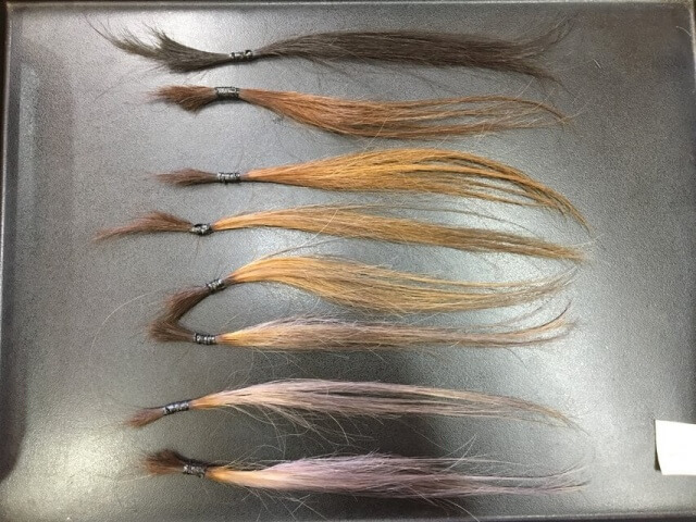 グレーアッシュシャンプー2回目の写真