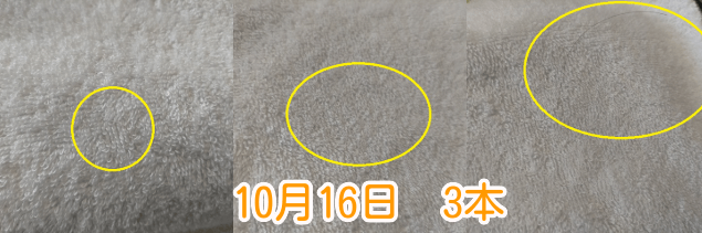 10月16日抜け毛本数