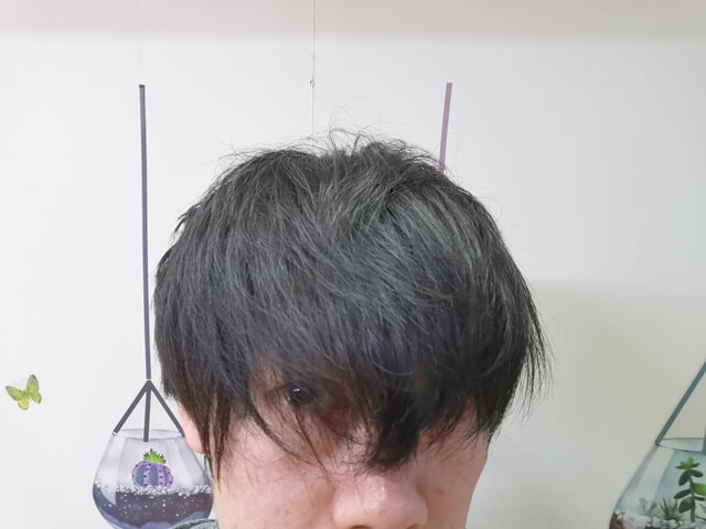 1日目水を使わないシャンプー直後