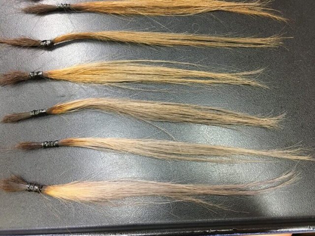 グレーアッシュシャンプー6回目アップの写真
