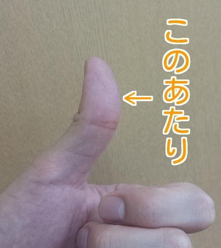 指腹の写真