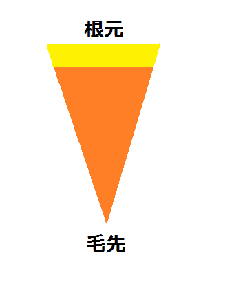 根元が明るくなってしまった髪の毛のイラスト