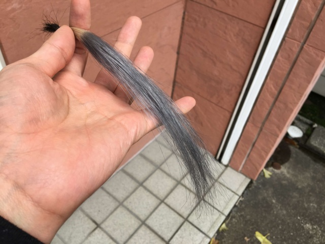 屋外で見たアッシュグレーの写真