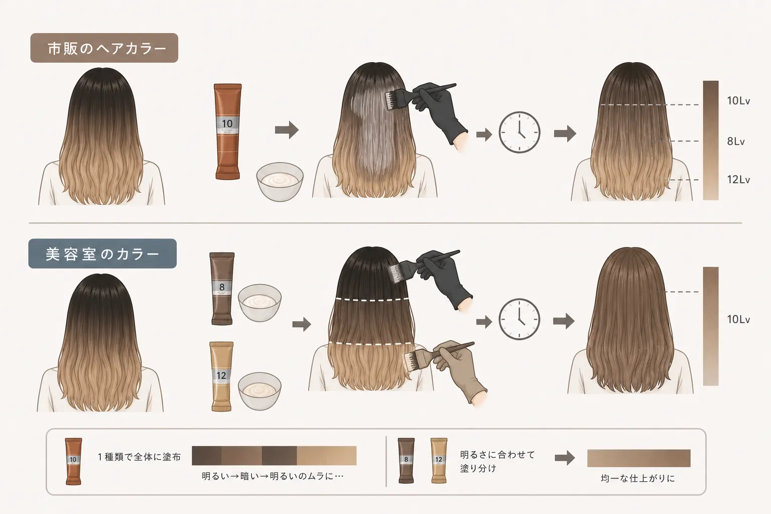 市販カラーと美容室カラーの塗り分けイラスト