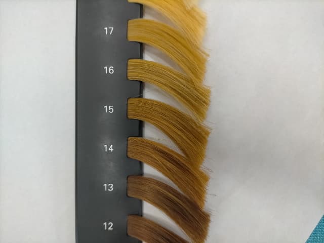 14~15レベルのカラースケール