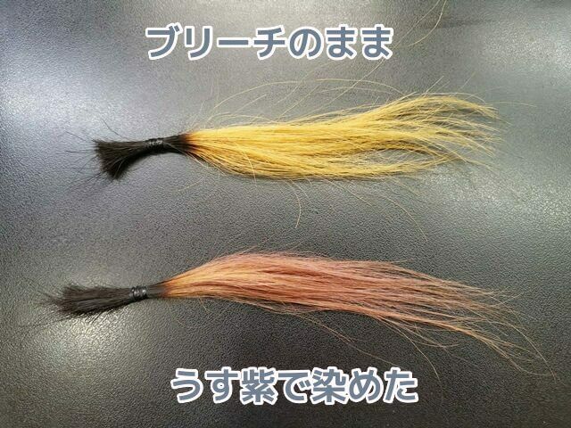 ブリーチのままとうす紫で染めた髪