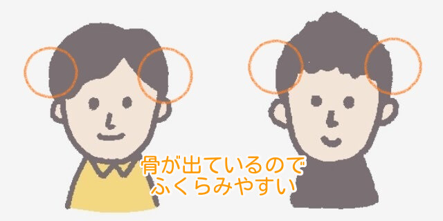 ハチが張りやすい説明イラスト