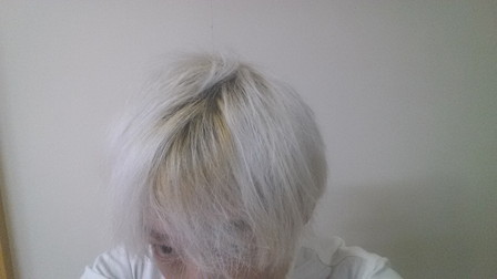 失敗例 ブリーチ6回後の髪の毛の写真