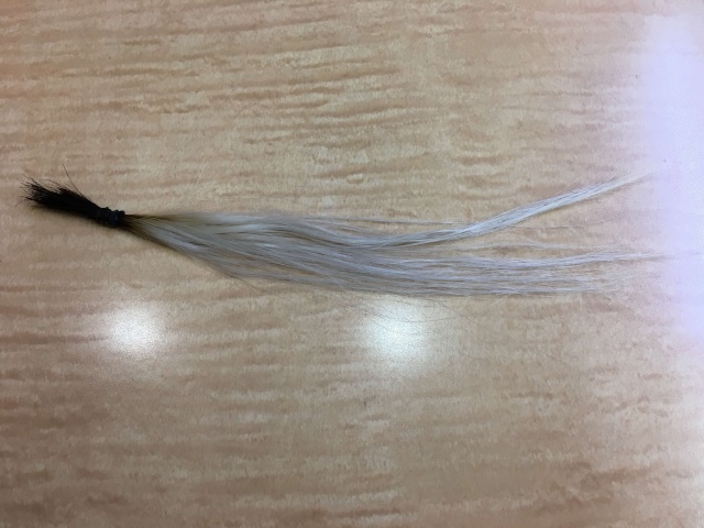 19レベルの明るい髪の毛の写真