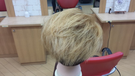 脱染して乾かした後の写真　後ろ