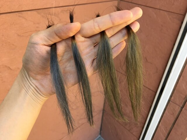 外で見たマットアッシュブリーチ3~6回の髪の毛の写真