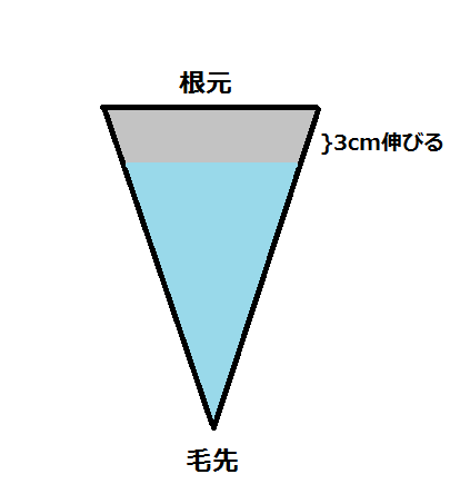 縮毛矯正をして3か月後の髪の毛のイラスト