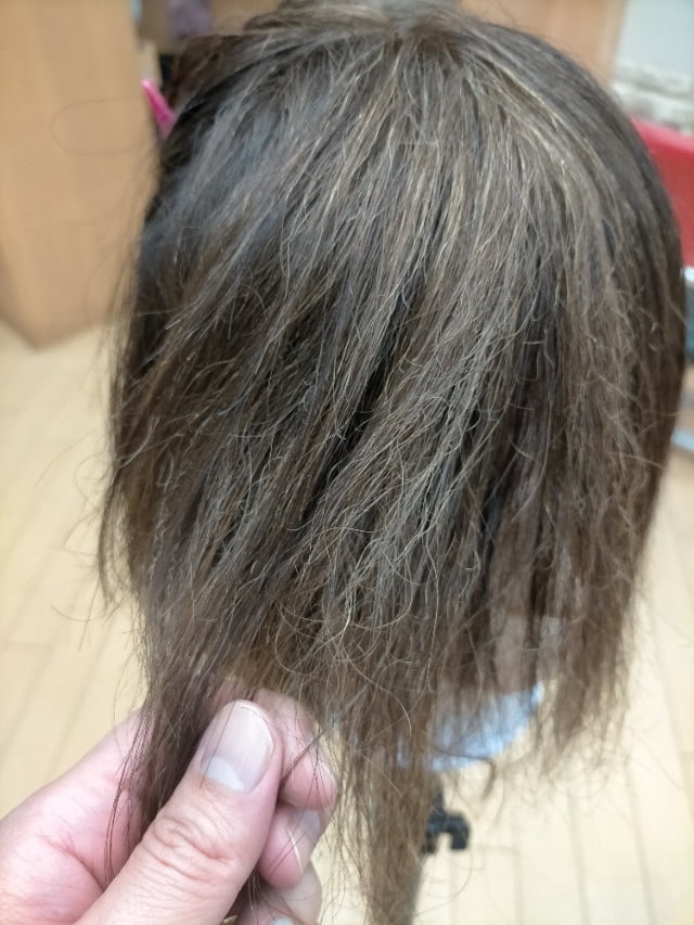 チリチリになった髪の毛