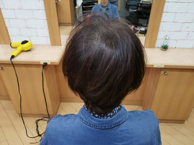 脱染前の髪の毛後ろ