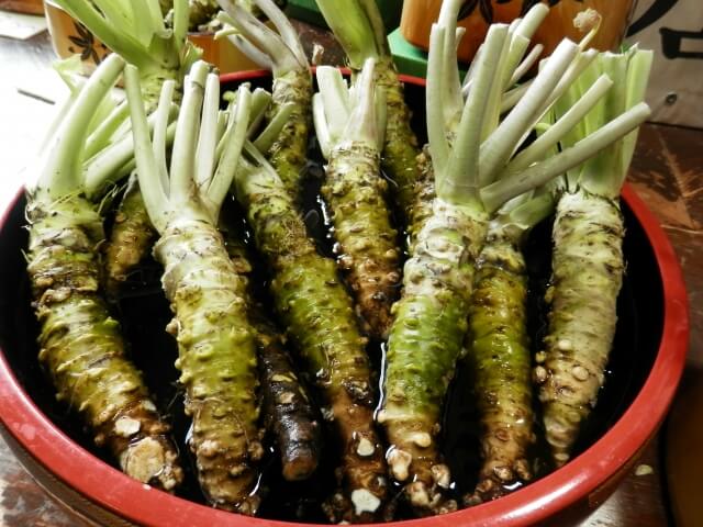 本わさびの写真