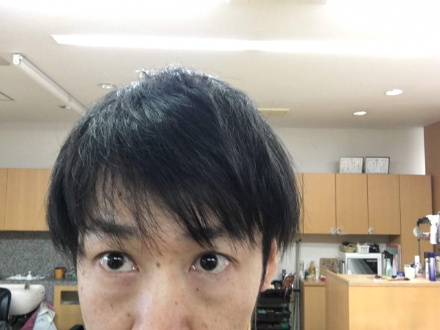 オーガニックワックスを使う前の髪の毛の写真
