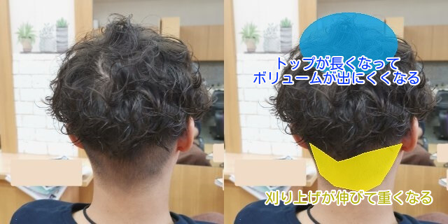 メンズカットと伸び具合の説明