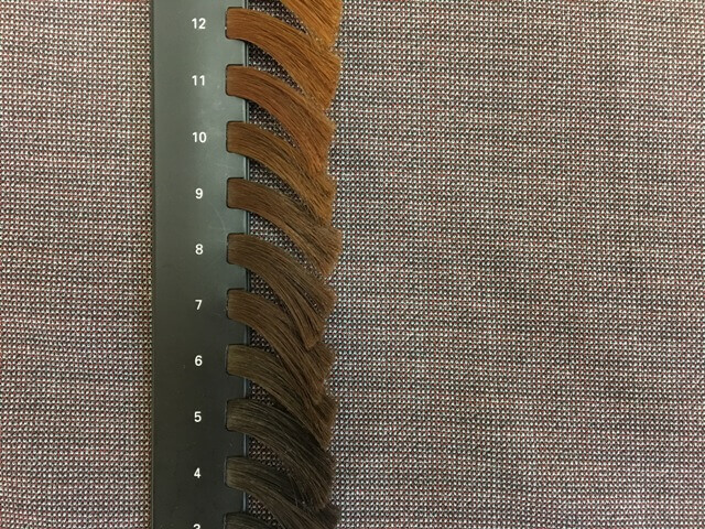 髪の毛の明るさのレベルの写真