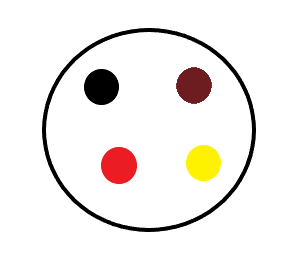 髪の毛の中の色素